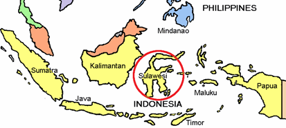 Map Indonesia and Sulawesi